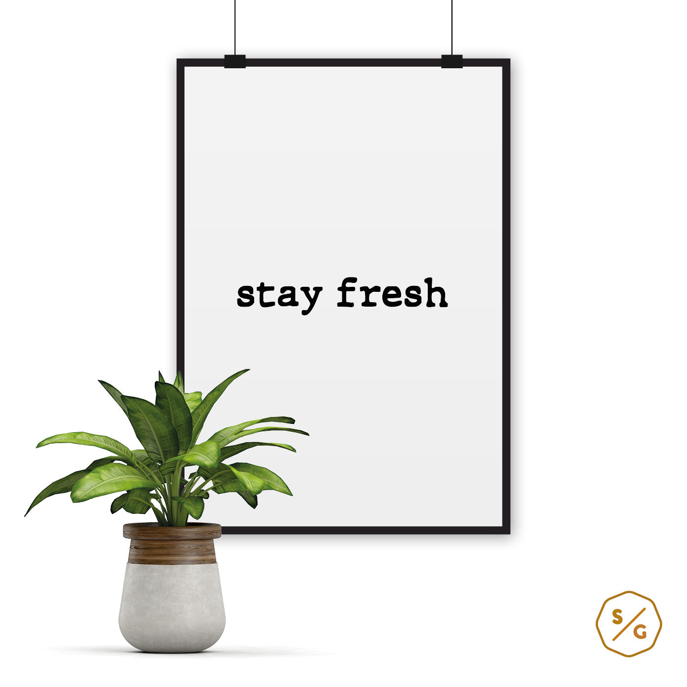 POSTER (verschied. Größen) •  STAY FRESH