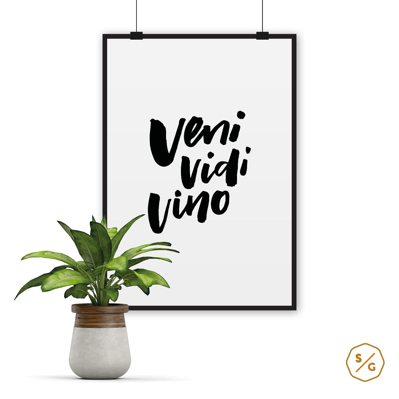 POSTER (VERSCHIED. GRÖSSEN) • VENI VIDI VINO